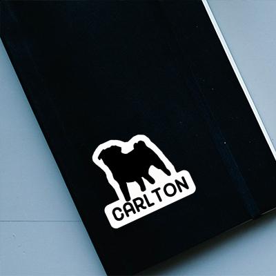 Carlton Sticker Pug Laptop Image