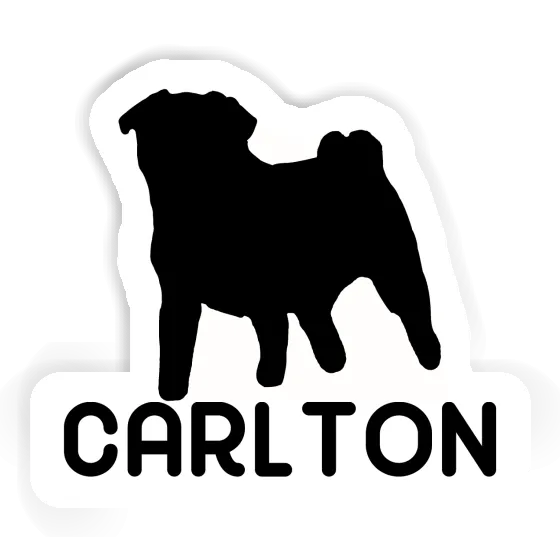 Carlton Sticker Pug Gift package Image