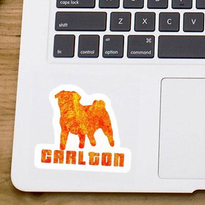 Pug Sticker Carlton Notebook Image