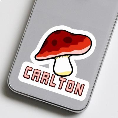 Carlton Sticker Mushroom Image