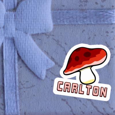 Carlton Sticker Mushroom Notebook Image