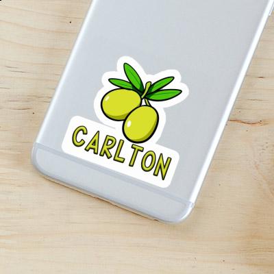 Olive Sticker Carlton Gift package Image