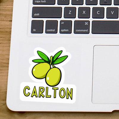 Olive Sticker Carlton Notebook Image