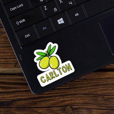 Olive Sticker Carlton Image