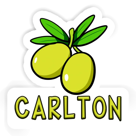 Olive Sticker Carlton Gift package Image