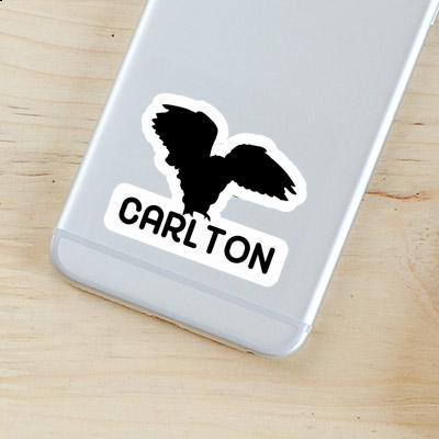 Sticker Owl Carlton Image