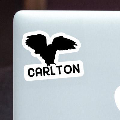 Eule Sticker Carlton Gift package Image