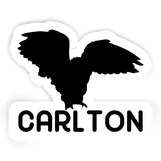 Sticker Owl Carlton Image