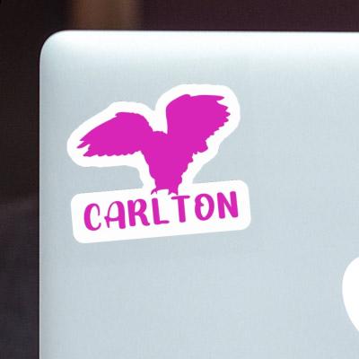 Hibou Autocollant Carlton Image