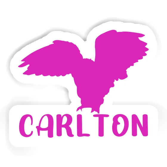 Sticker Carlton Owl Gift package Image