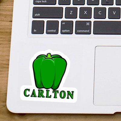 Sticker Carlton Paprika Laptop Image