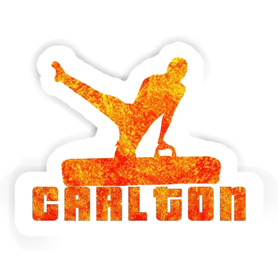 Carlton Sticker Turner Laptop Image