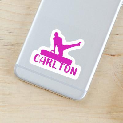 Carlton Sticker Gymnast Notebook Image