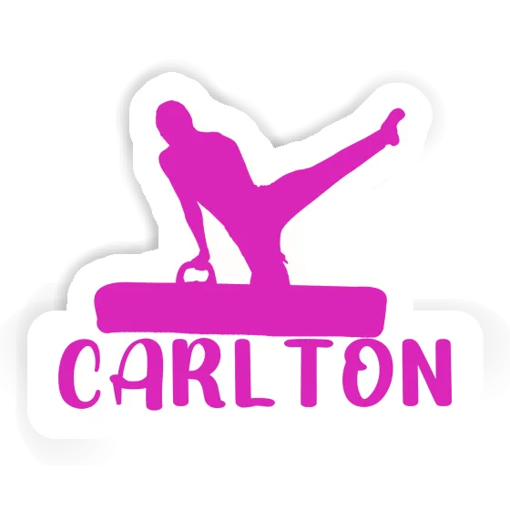 Carlton Sticker Gymnast Gift package Image