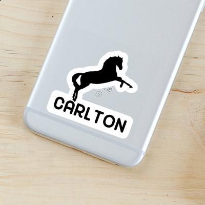 Horse Sticker Carlton Gift package Image