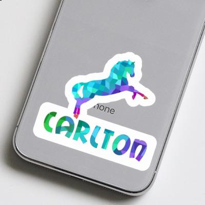 Sticker Carlton Pferd Gift package Image