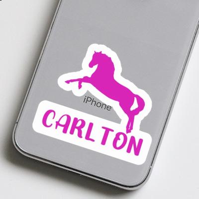 Sticker Horse Carlton Laptop Image