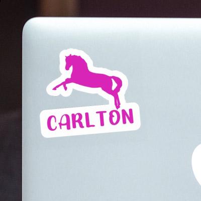 Sticker Carlton Pferd Laptop Image