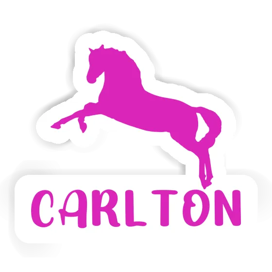 Sticker Horse Carlton Laptop Image