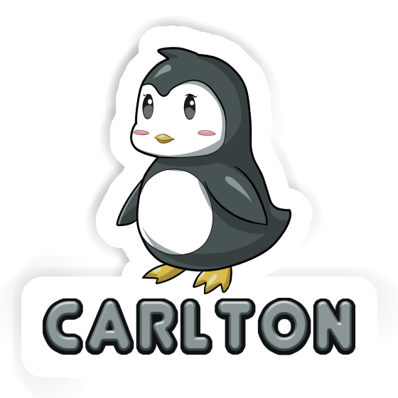 Sticker Penguin Carlton Gift package Image