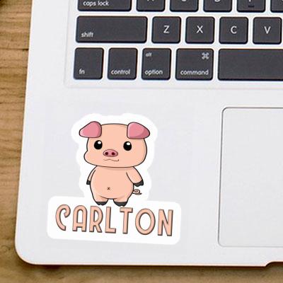 Sticker Carlton Schweinchen Gift package Image