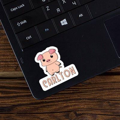 Carlton Sticker Pigg Gift package Image