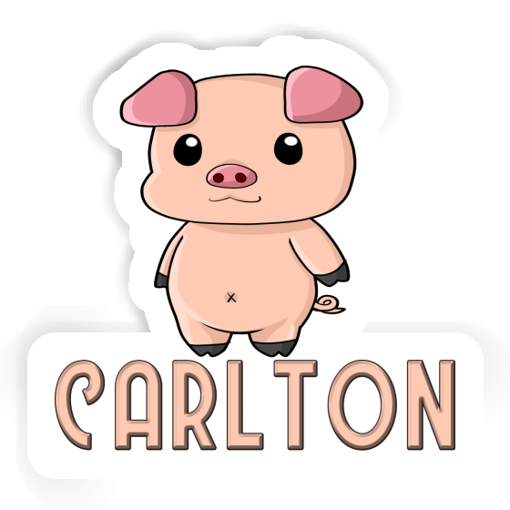 Sticker Carlton Schweinchen Laptop Image