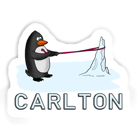 Carlton Aufkleber Pinguin Image