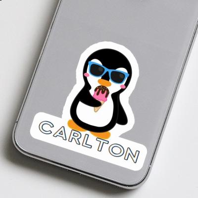 Sticker Penguin Carlton Notebook Image