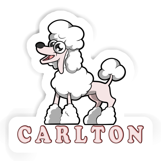 Carlton Sticker Poodle Gift package Image