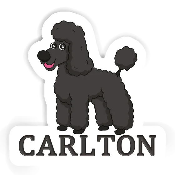 Poodle Sticker Carlton Notebook Image