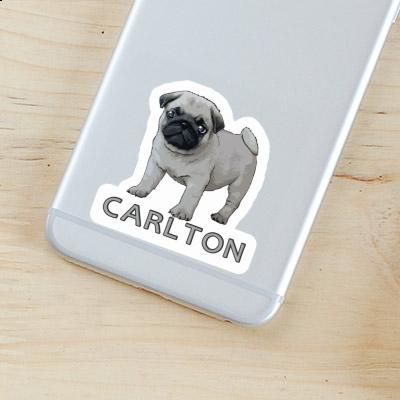 Pug Sticker Carlton Notebook Image