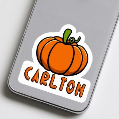 Carlton Sticker Pumpkin Notebook Image