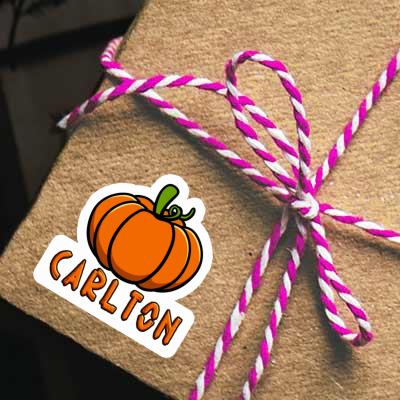 Carlton Sticker Pumpkin Gift package Image