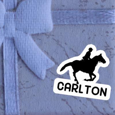 Reiterin Sticker Carlton Gift package Image