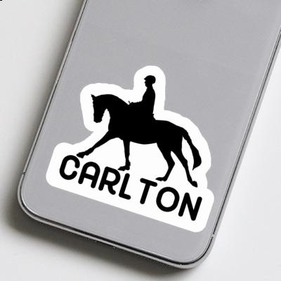 Horse Rider Sticker Carlton Notebook Image