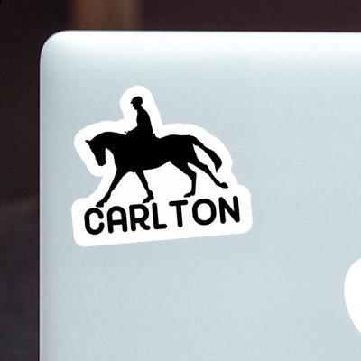 Horse Rider Sticker Carlton Laptop Image