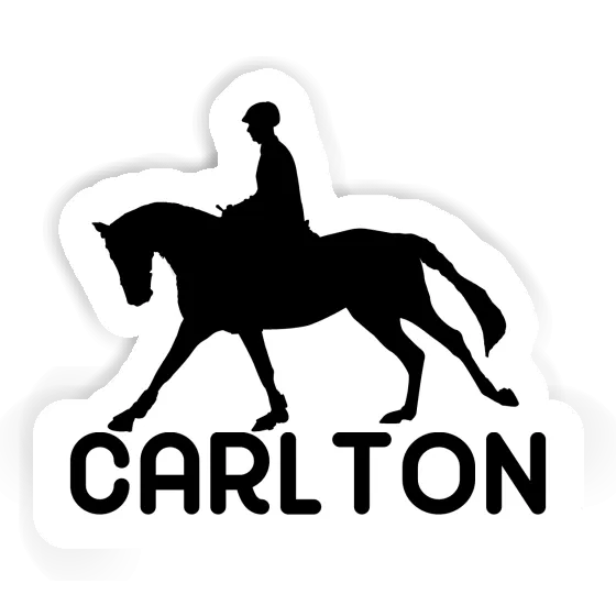 Horse Rider Sticker Carlton Gift package Image