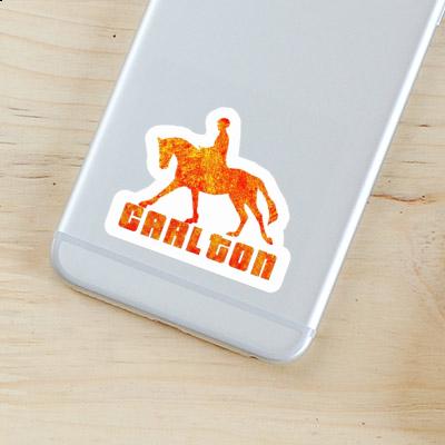 Horse Rider Sticker Carlton Image