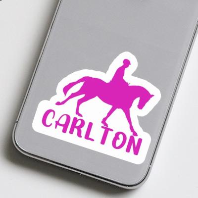 Horse Rider Sticker Carlton Gift package Image