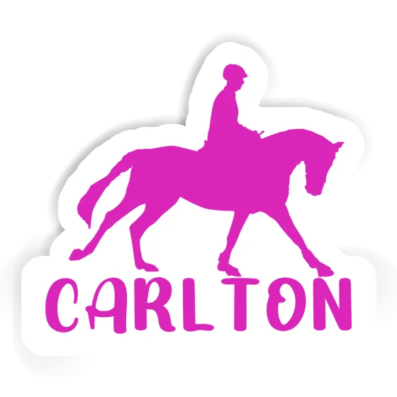 Horse Rider Sticker Carlton Image