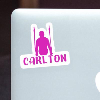 Sticker Ringturnerin Carlton Laptop Image