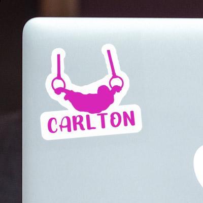 Sticker Carlton Ringturnerin Image