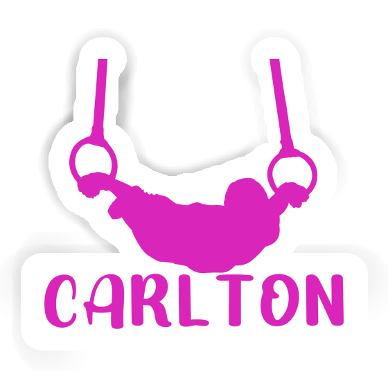 Sticker Carlton Ringturnerin Laptop Image