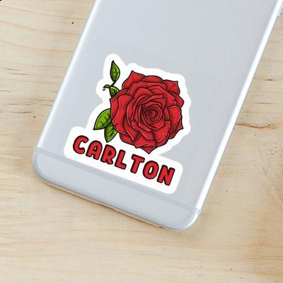 Sticker Carlton Rose Image