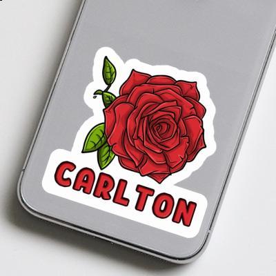 Sticker Carlton Rose Gift package Image