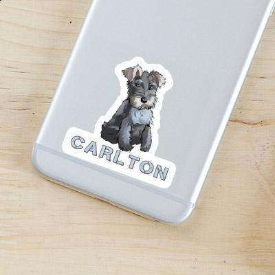 Carlton Sticker Schnauzer Gift package Image