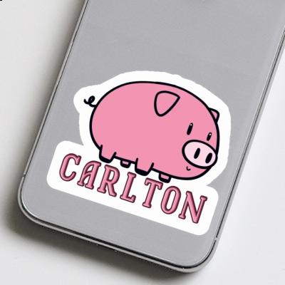 Carlton Sticker Pig Gift package Image