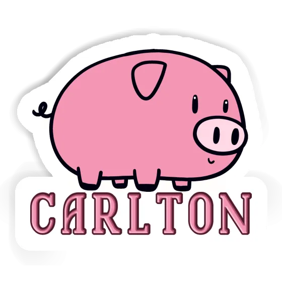 Carlton Sticker Pig Laptop Image