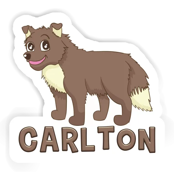 Carlton Sticker Dog Gift package Image